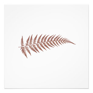 Pressed Botanical Fern Leaf Any Background Colour Photo Print