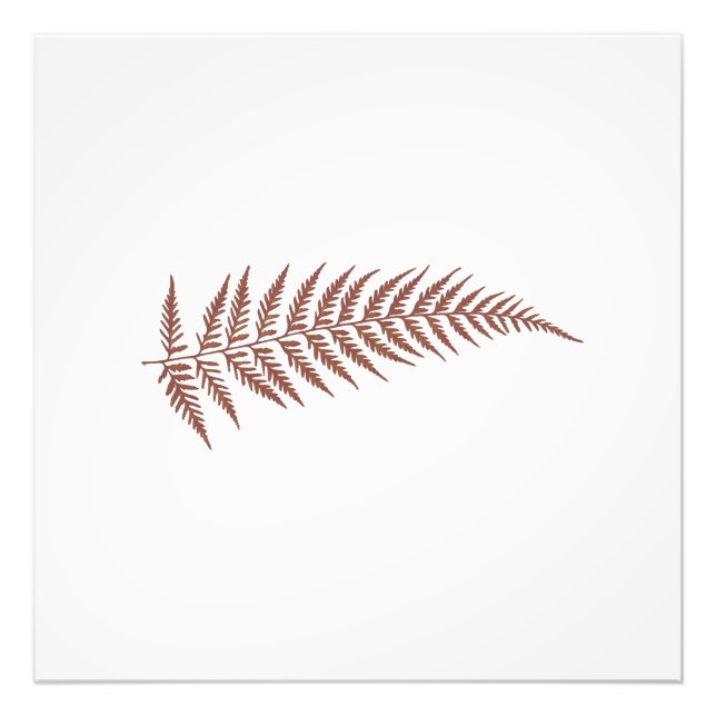 Pressed Botanical Fern Leaf Any Background Colour Photo Print (Front)