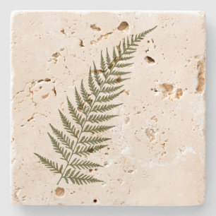 Pressed Botanical Fern Leaf - Mix and Match Colour Stone Coaster
