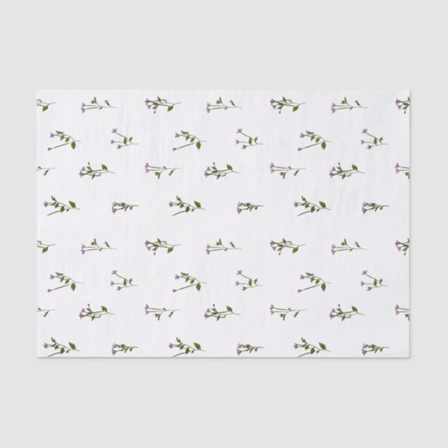 PRESSED FLOWERS - Chickweed Willowherb - Open Tissue Paper (Front)