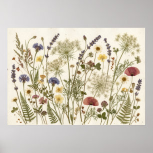 Pressed Wildflowers Botanical Herbarium Art Poster