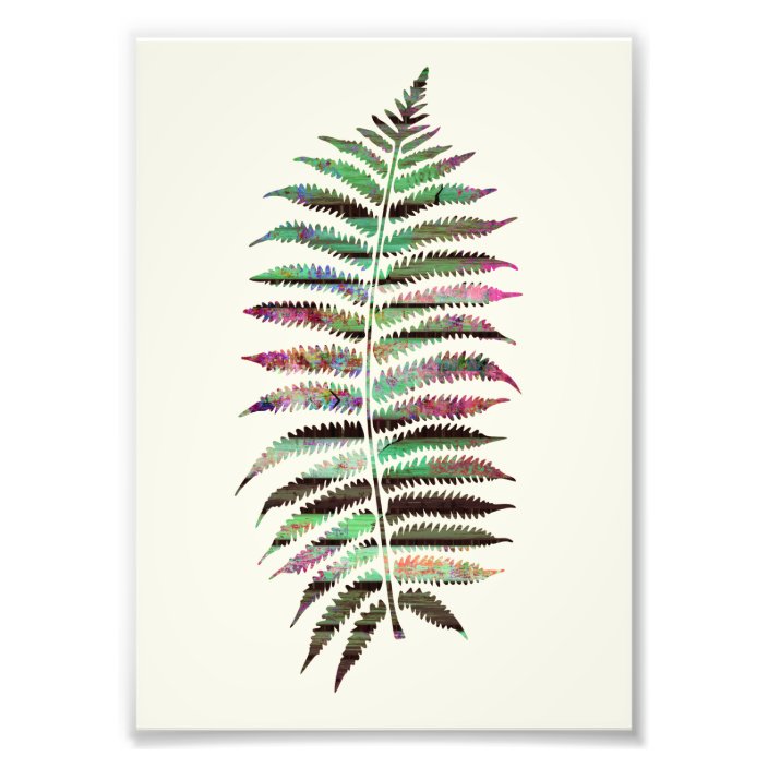 Pretty Abstract Botanical Peacock Leaf Photo Print | Zazzle.co.uk