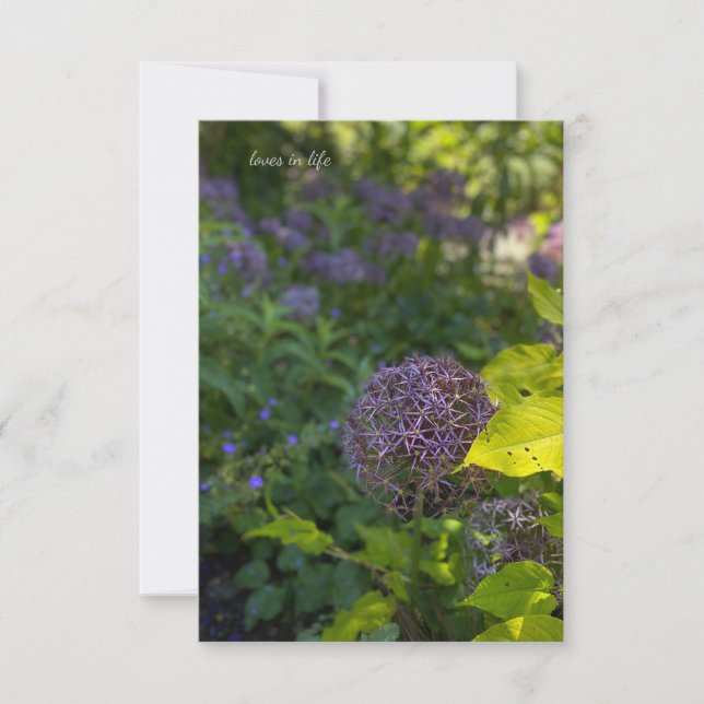 Pretty Allium Card (Front)
