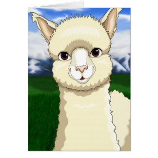 Pretty Alpaca