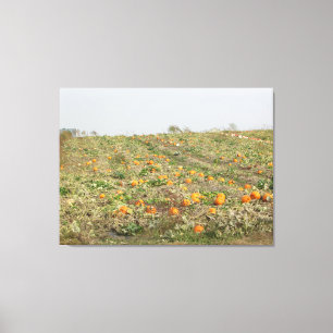Pretty Amish Pumpkin Farm in the Midwest Country Canvas Print