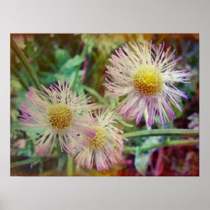 Pretty and Pink Poster