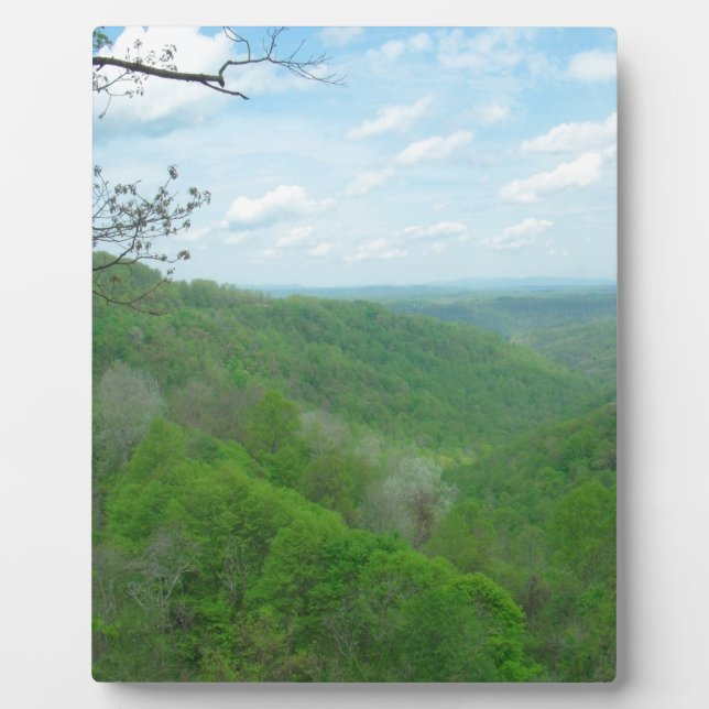 Pretty Appalachian Overlook Plaque (Front)