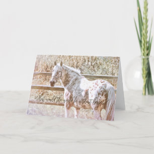 PRETTY APPALOOSA Greeting Card
