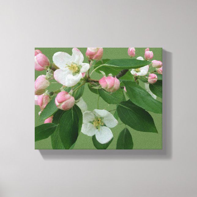 Pretty apple blossom floral simple green Hygge fun Canvas Print (Front)