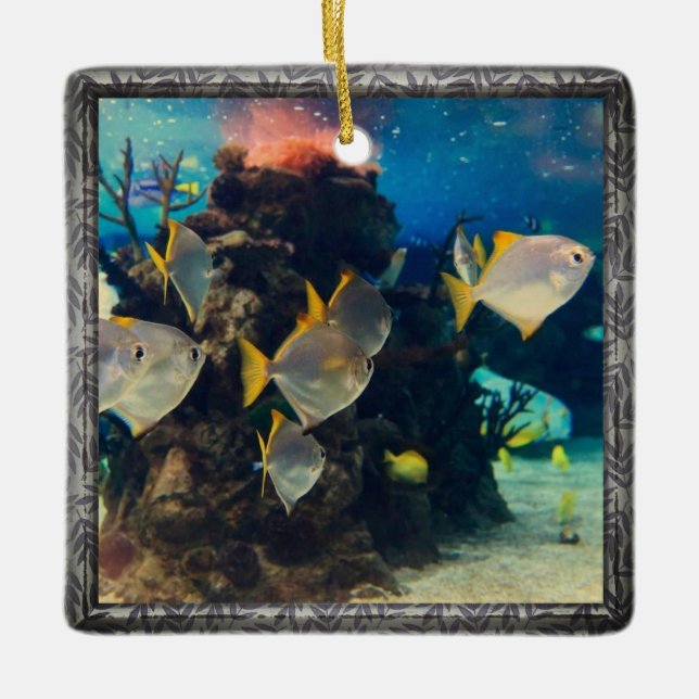 Pretty Aquarium Fish   Ceramic Ornament (Front)