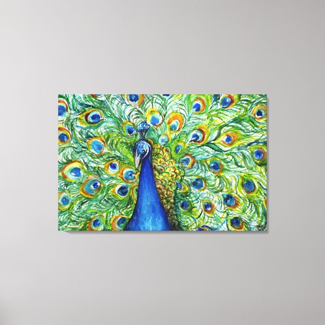 Pretty as a Peacock Canvas Print (Front)