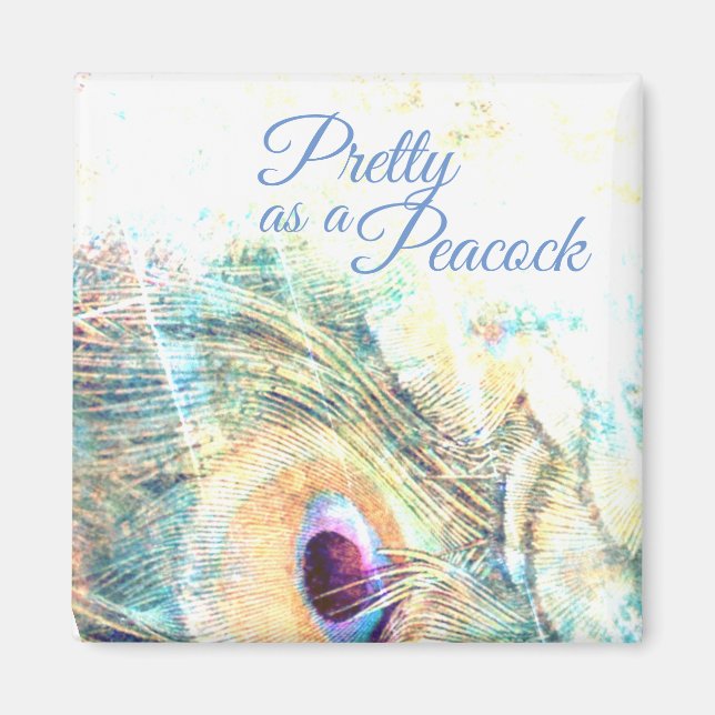Pretty as a peacock white feather pastel magnet (Front)
