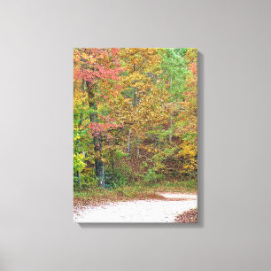Pretty Autumn Leaves Mountain Road Canvas Print