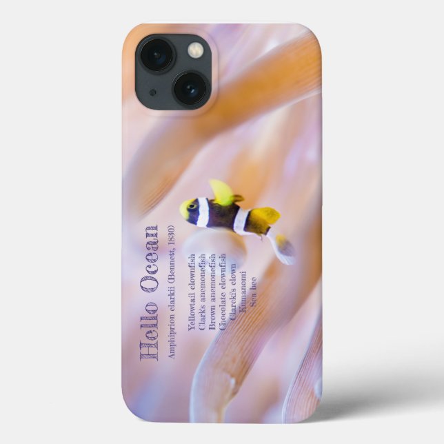 pretty baby anemone fish Case-Mate iPhone case (Back)