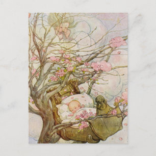 Pretty Baby Girl Postcard