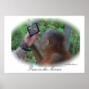 Pretty Baby Orangutan poster