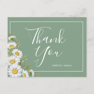 Pretty Basil Green & White Daisies Thank You  Postcard