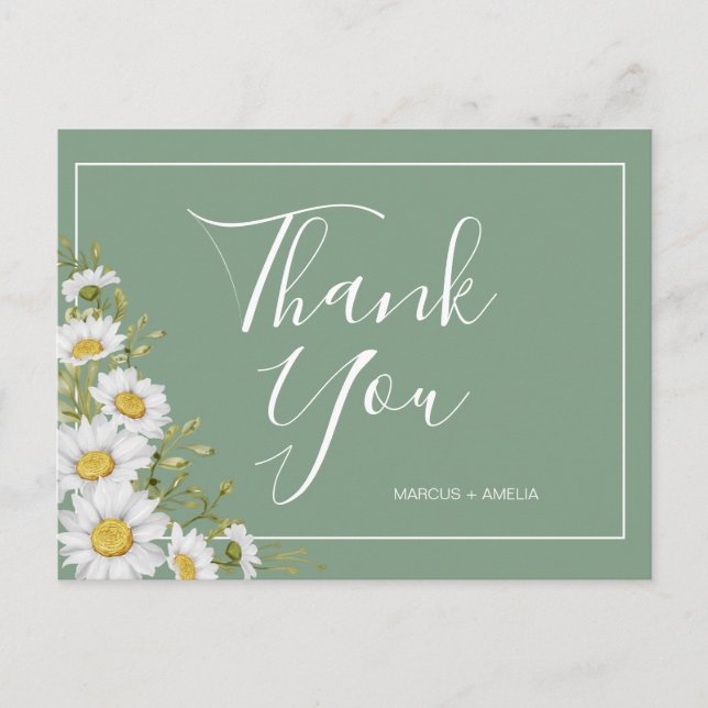Pretty Basil Green & White Daisies Thank You  Postcard (Front)