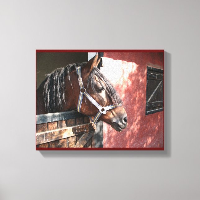 Pretty Bay Horse in a Sunlit Stable Canvas Print (Front)