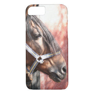 Pretty Bay Horse in a Sunlit Stable iPhone 8/7 Case