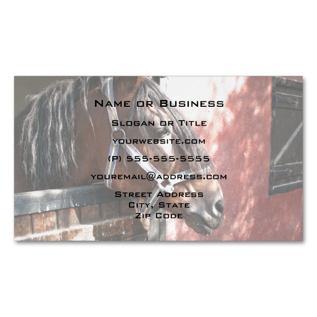 Pretty Bay Horse in a Sunlit Stable Magnetic Business Card (Front)