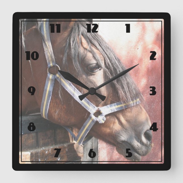 Pretty Bay Horse in a Sunlit Stable Square Wall Clock (Front)