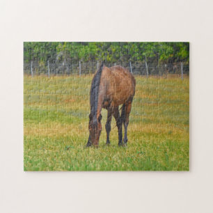 Pretty Bay Horse in Texas Pasture Puzzle
