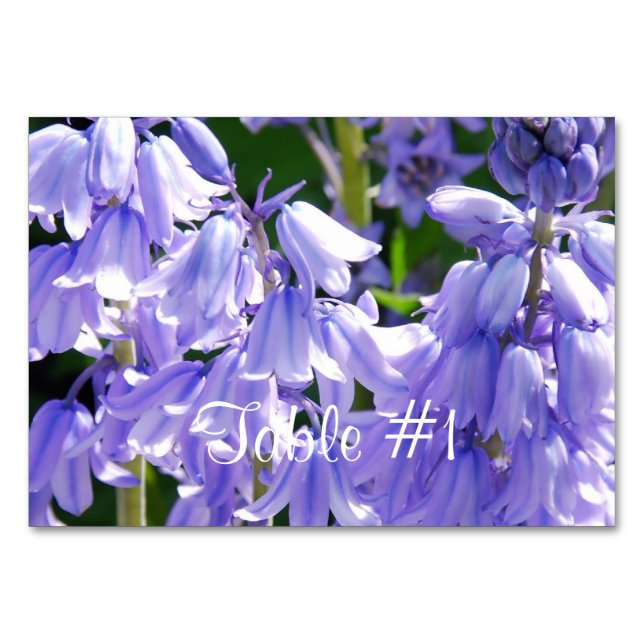 Pretty Bell Flowers Table Number (Front)