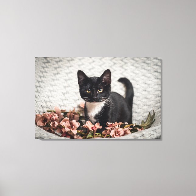 Pretty Bella Rose Canvas Print (Front)