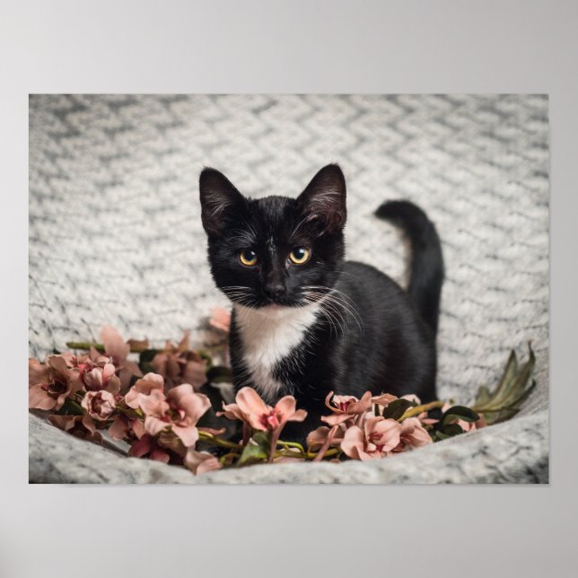 Pretty Bella Rose Poster (Front)