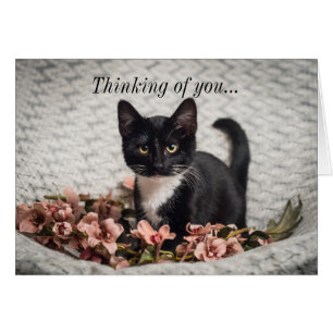 Pretty Bella Rose Thinking Of You Card