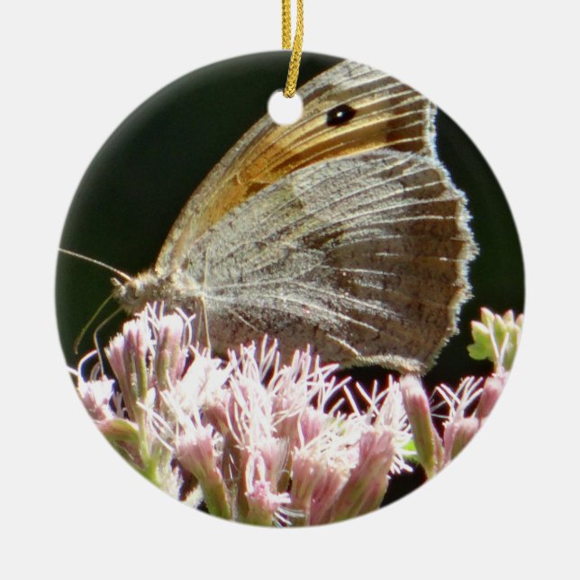 Pretty big butterfly  ceramic tree decoration (Front)