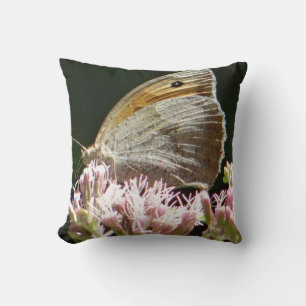 Pretty big butterfly  cushion