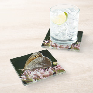 Pretty big butterfly glass coaster