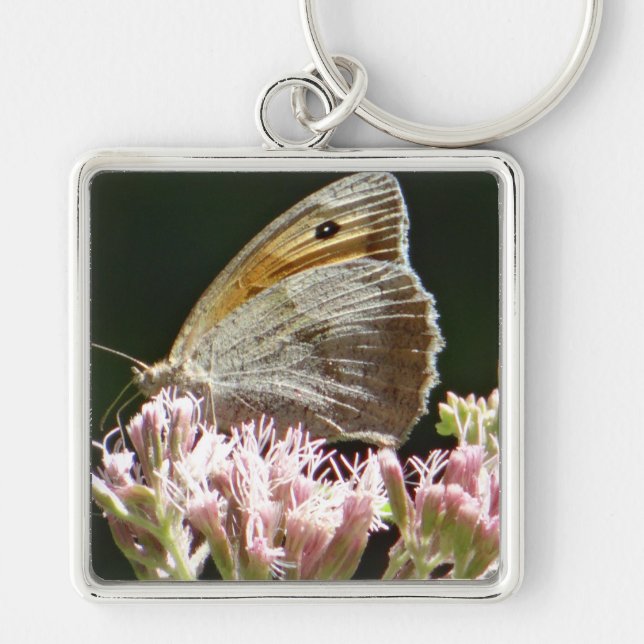 Pretty big butterfly  key ring (Front)