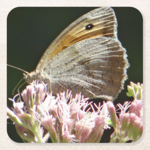 Pretty big butterfly square paper coaster