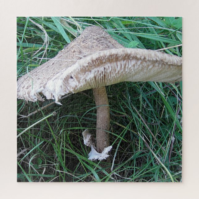 Pretty big mushroom jigsaw puzzle (Vertical)