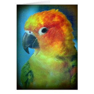 Pretty Bird
