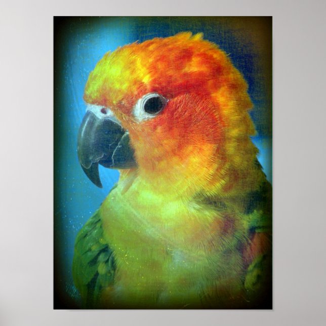 Pretty Bird Poster (Front)