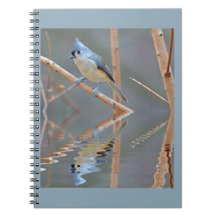Pretty Bird Reflections Notebook