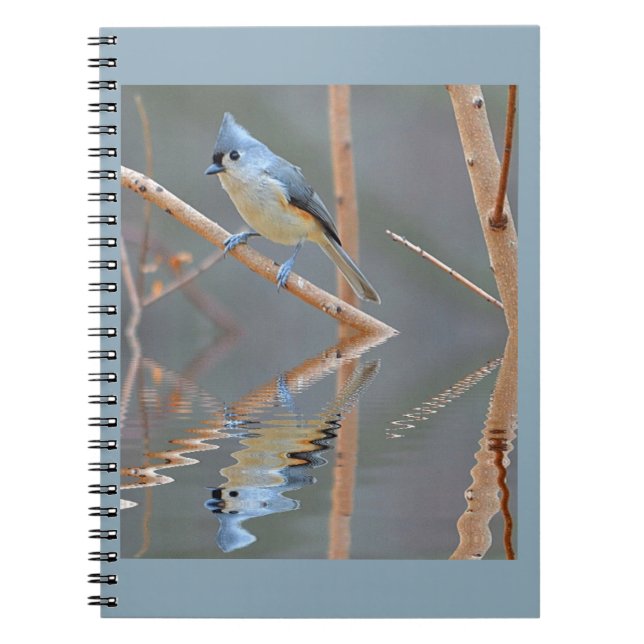 Pretty Bird Reflections Notebook (Front)