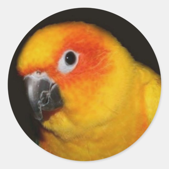 Pretty Bird Sticker (Front)