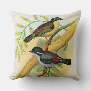 pretty birds print cushion