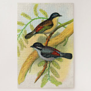 pretty birds print jigsaw puzzle