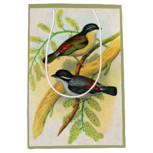 pretty birds print medium gift bag