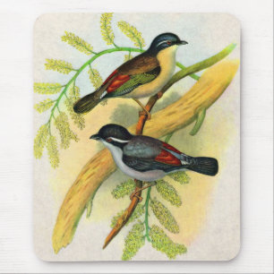 pretty birds print mouse mat