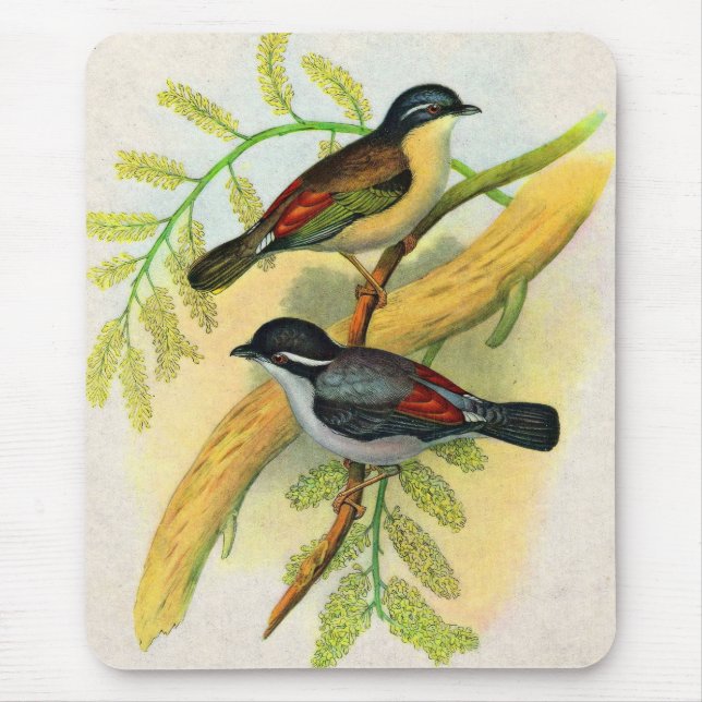 pretty birds print mouse mat (Front)