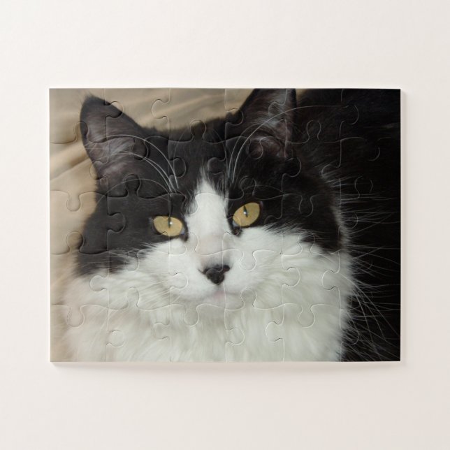 Pretty Black and White Long Haired Cat Jigsaw Puzzle (Horizontal)