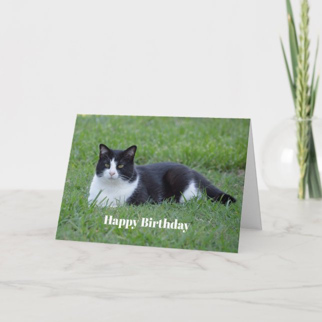 Pretty Black and White Tuxedo Cat Photo Birthday Card (Front)