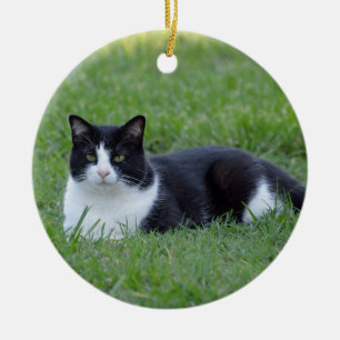 Pretty Black and White Tuxedo Cat Photo Ceramic Tree Decoration